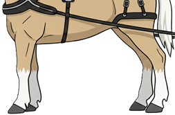 ĉevalo havas piedojn