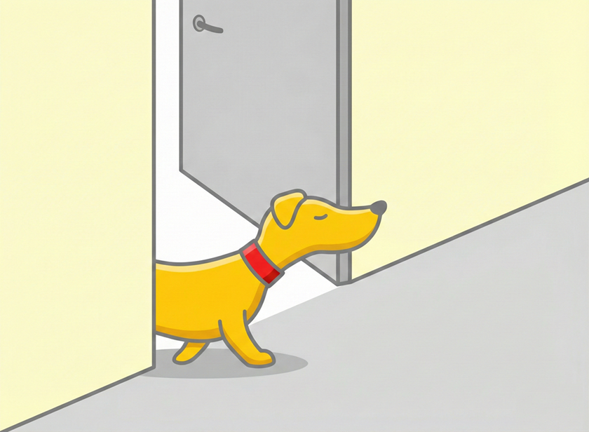 la hundo venas en la ĉambron