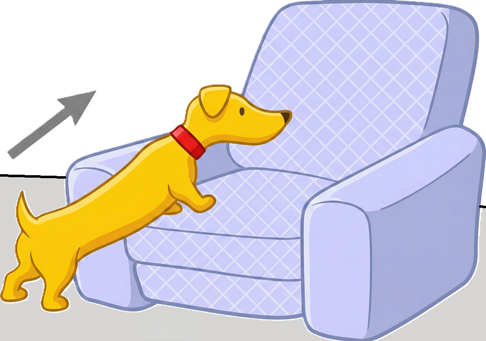 la hundo iras sur seĝon